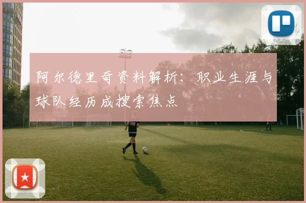 阿尔德里奇资料解析：职业生涯与球队经历成搜索焦点
