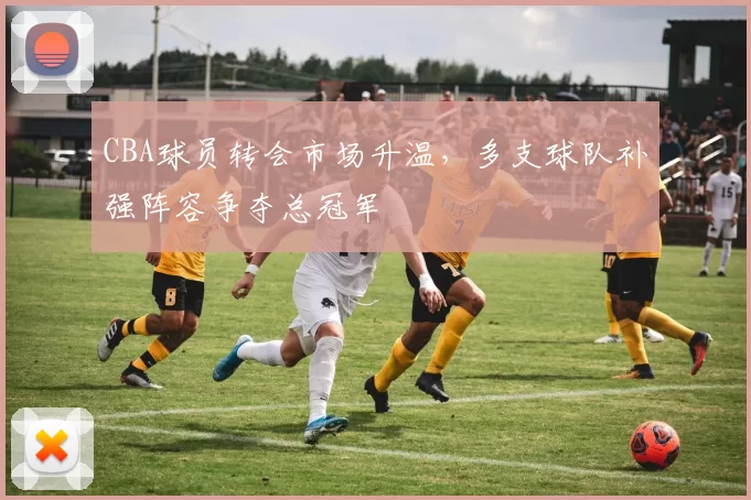 CBA球员转会市场升温，多支球队补强阵容争夺总冠军