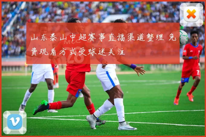 山东泰山中超赛事直播渠道整理 免费观看方式受球迷关注